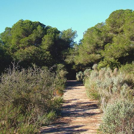 Albufera Dreams Nature Suites Valence Extérieur photo