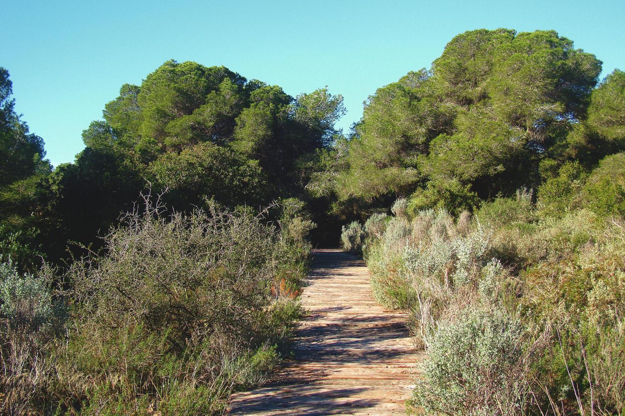 Albufera Dreams Nature Suites Valence Extérieur photo