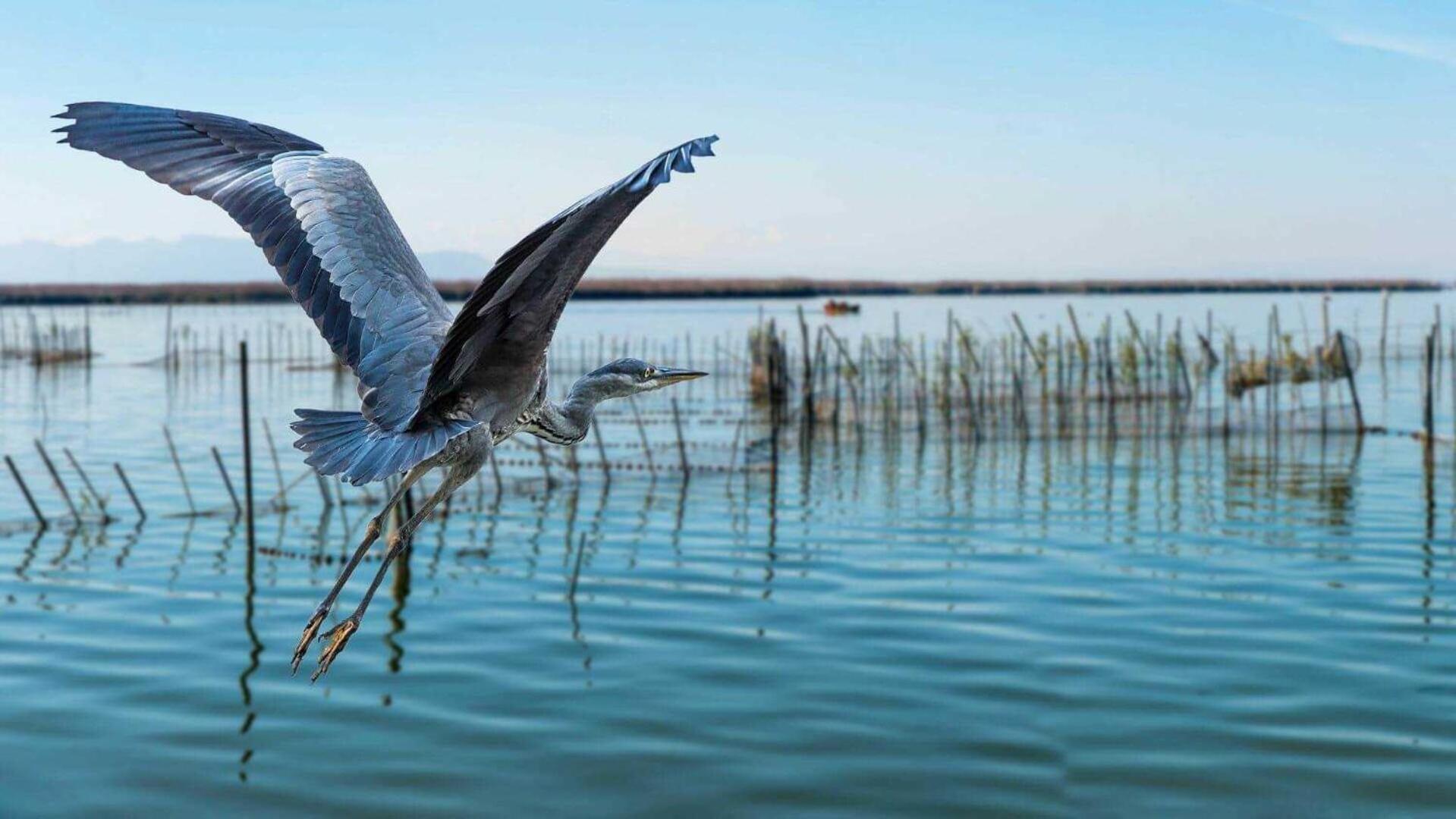 Albufera Dreams Nature Suites Valence Extérieur photo